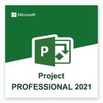 Microsoft Project Professional 2021 – product artwork