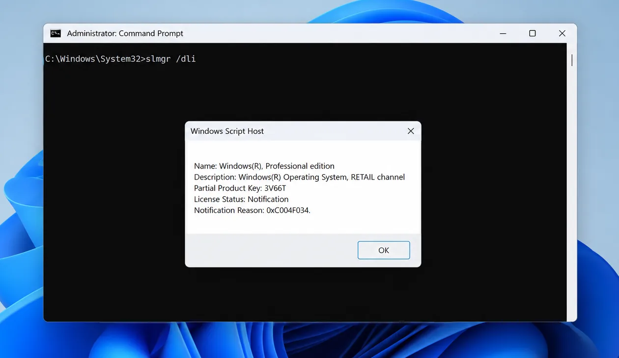 Command Prompt running slmgr /dli showing Windows Professional edition, RETAIL channel and License Status: Notification